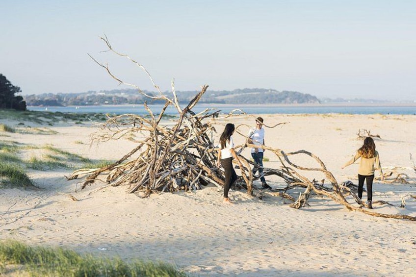 A group of people on a sandy beach with a pile of driftwood. 1