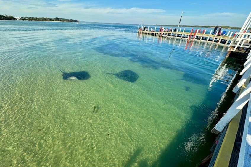 A pier extending into clear turquoise water, with a boat docked at the end. 2