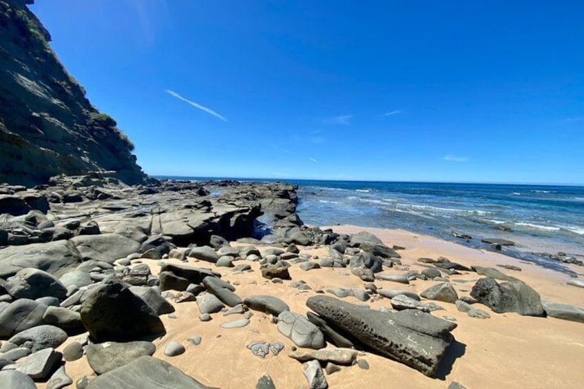 Phillip Island Private Tour: Bunurong Coast & Penguin Parade 5