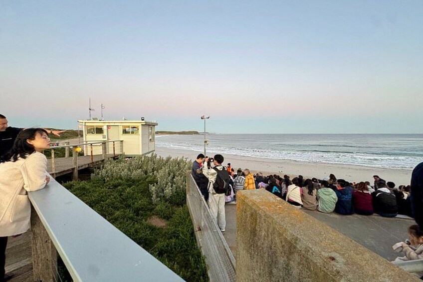 A beach with people sitting on a concrete wall, a lifeguard tower, and a grassy area with shrubs. 2