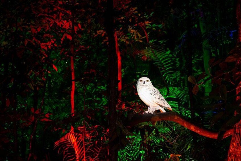 A white owl perched on a branch in a dense forest with red foliage. 5