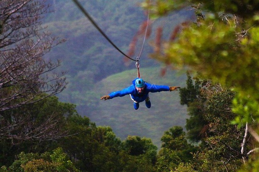 Shared Canopy Extremo Zipline Activity in Guanacaste Province 2