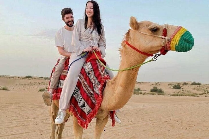Camel Ride 2