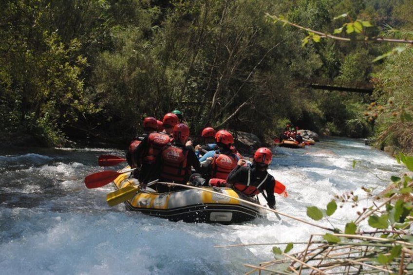 A group of people rafting down a river surrounded by dense greenery. 1