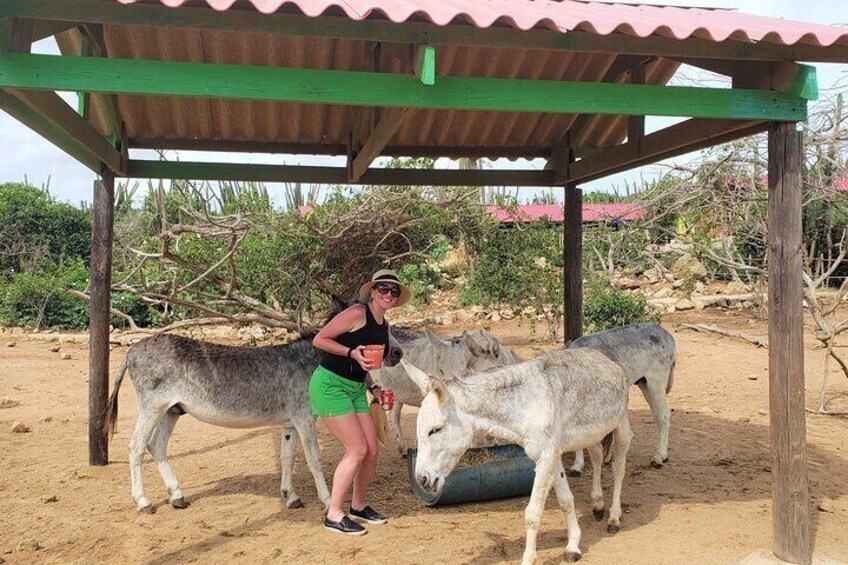 Aruba Baby Beach Express Tour