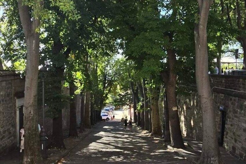 A tree-lined street with a parked car and a brick wall on one side. 3