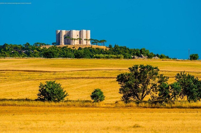 A castle on a hill, a golden field, and a clear blue sky. 3
