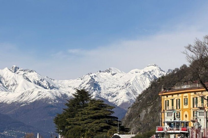 A snow-covered mountain range, a yellow building, and a coniferous tree. 5