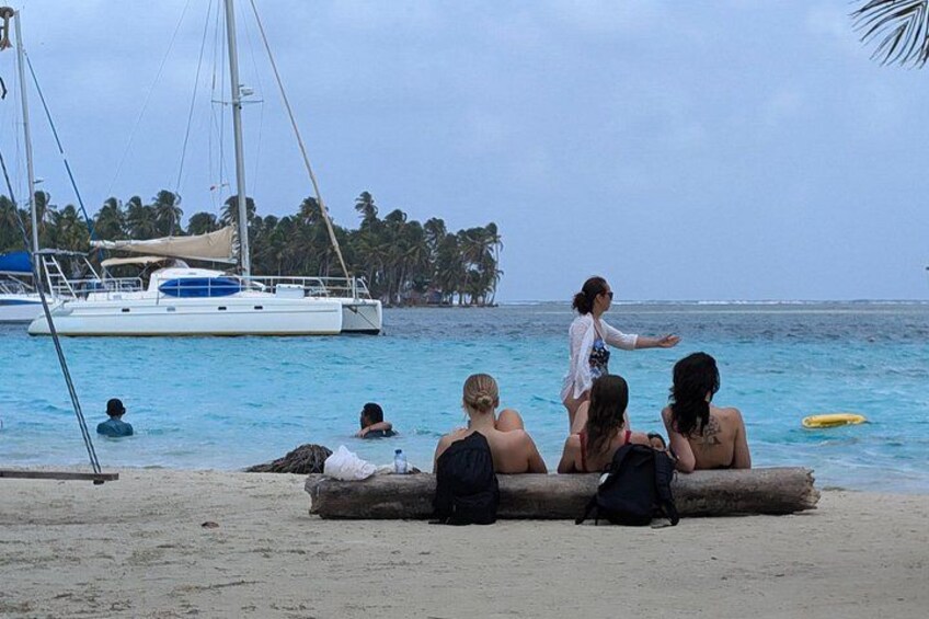 A beach with people sitting on logs, a sailboat in the water, and palm trees in the background. 2