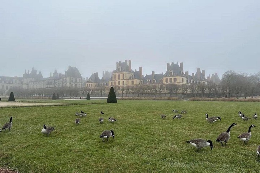 A grassy field with geese and a large building in the background. 1