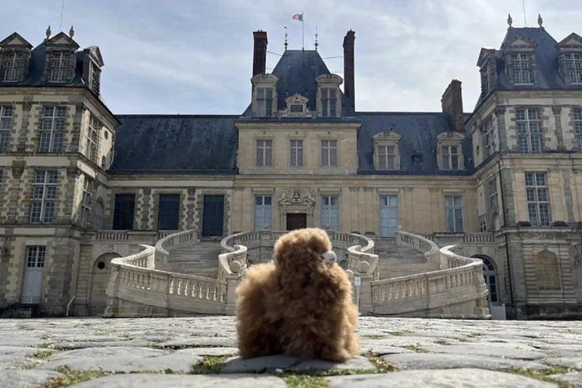A historic building with a central staircase and a fluffy dog in the foreground. 5