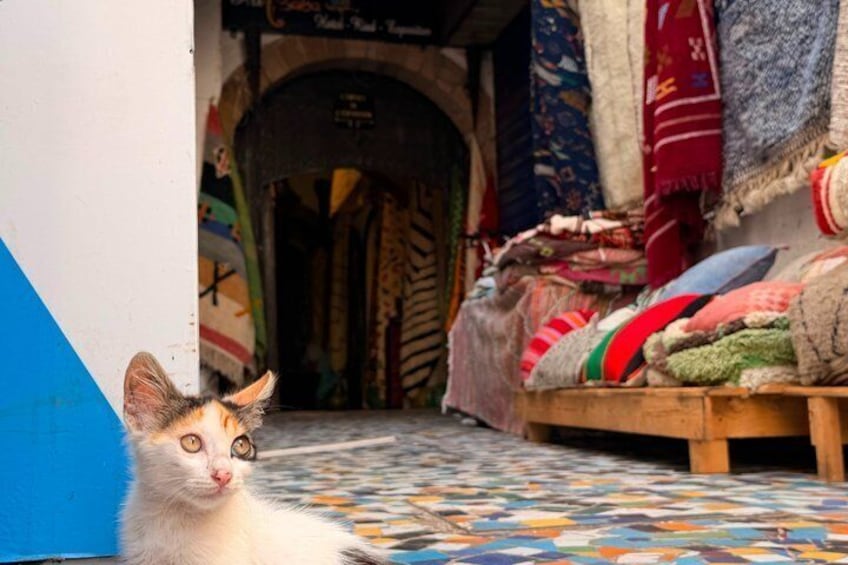 Essaouira Day Trip Check-out DE Marrakech 1