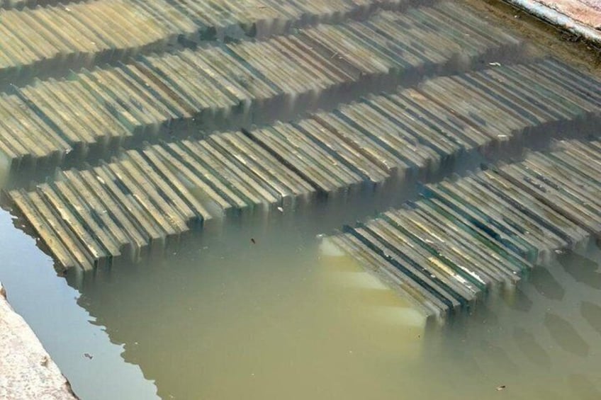 A series of wooden steps leading into a body of water. 5
