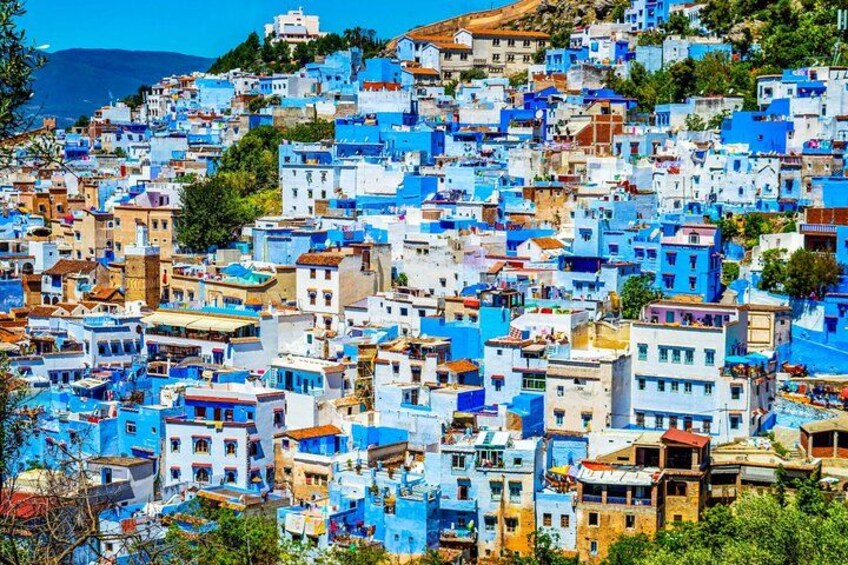 From Malaga to Morocco: VIP Chefchaouen Adventure 2