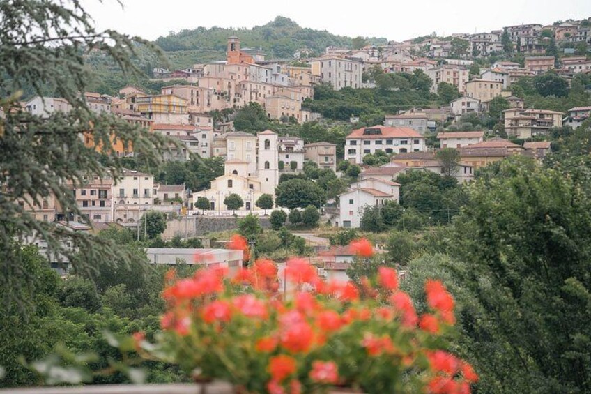 Un pueblo en una ladera con edificios, follaje y flores rojas en primer plano. 2