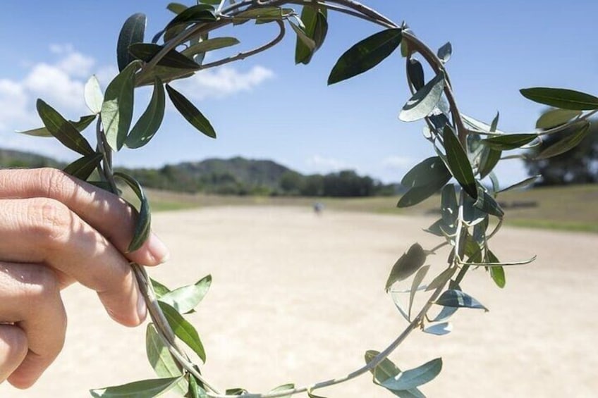 A hand holding a circular wreath made of olive branches. 3