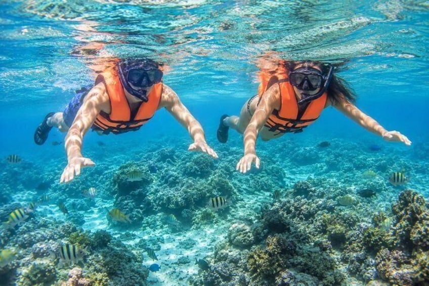 Private Boat Snorkeling in Puerto Morelos 1