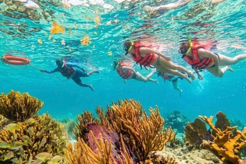 Private boat snorkeling in Puerto Morelos 1
