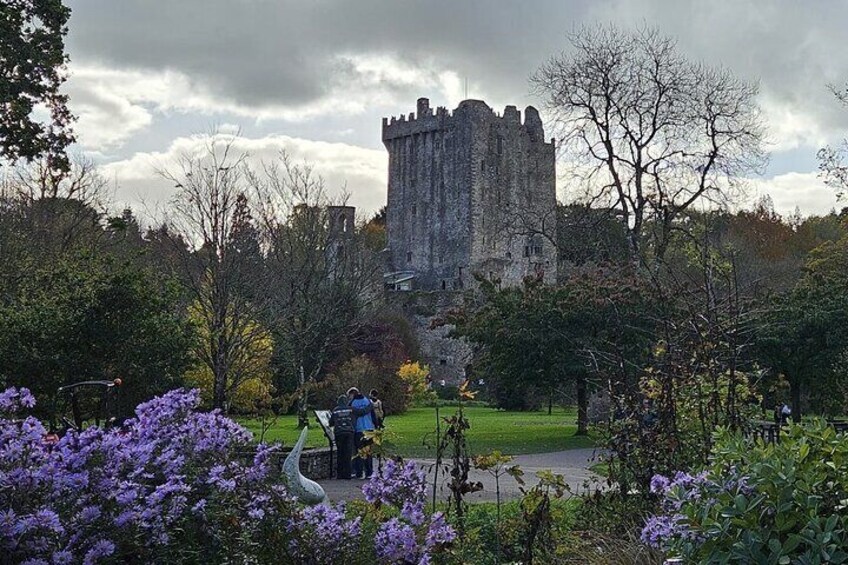Day Tour to Cork City Blarney Castle and Kinsale 5