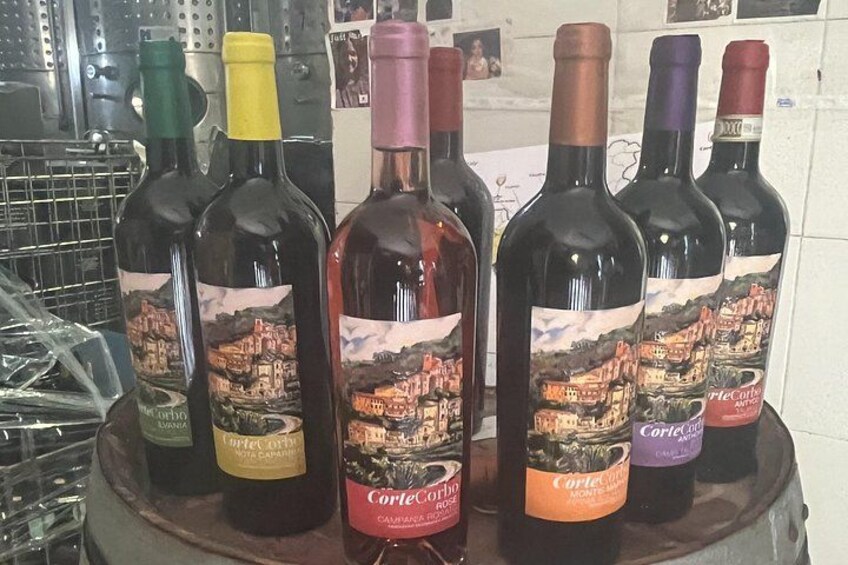 A selection of wine bottles with labels featuring a vineyard scene. 4