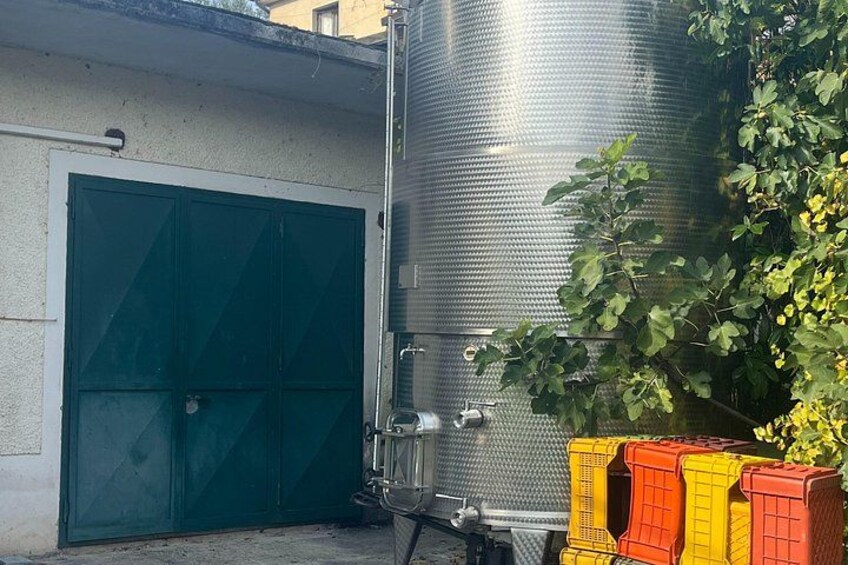 Irpinia Wine and Flavors Experience Private Tour from Salerno 3