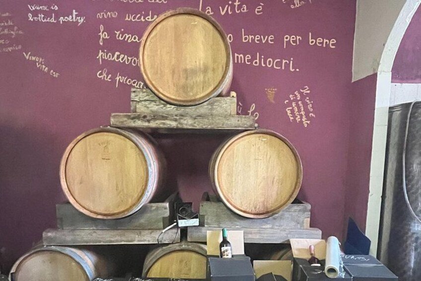 Wooden barrels stacked on shelves against a wall with Italian text. 5