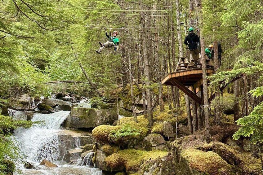 Un bosque con un puente de madera, una cascada y senderistas. 1
