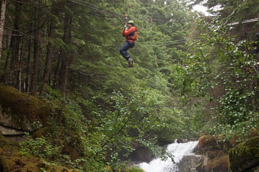 Grizzly Falls Ziplining Expedition 2