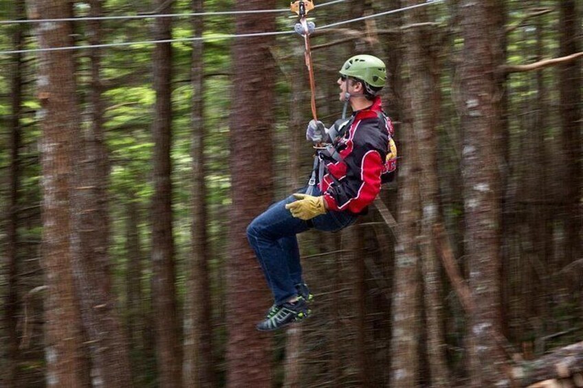 Grizzly Falls Ziplining Expedition 5