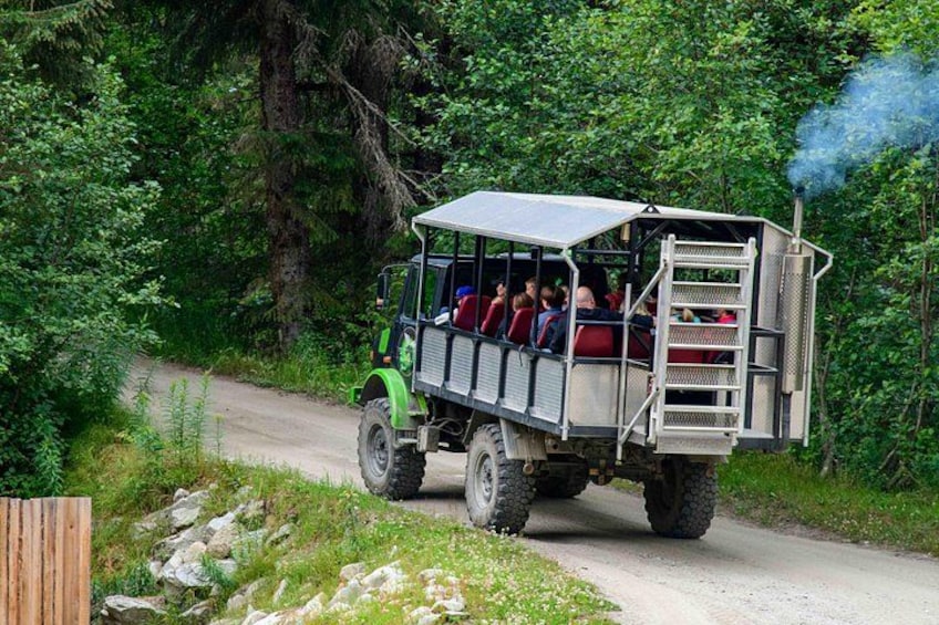 Un jeep verde y blanco con pasajeros en un camino forestal. 5