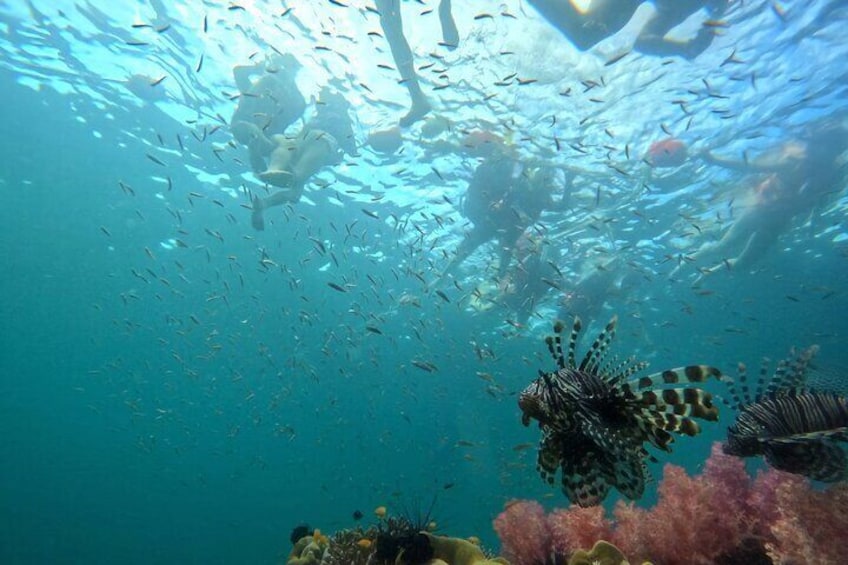 Private Koh Lipe Inner and Outer Island Hopping with Snorkeling 4