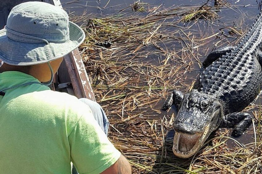 A person in a boat with an alligator. 4