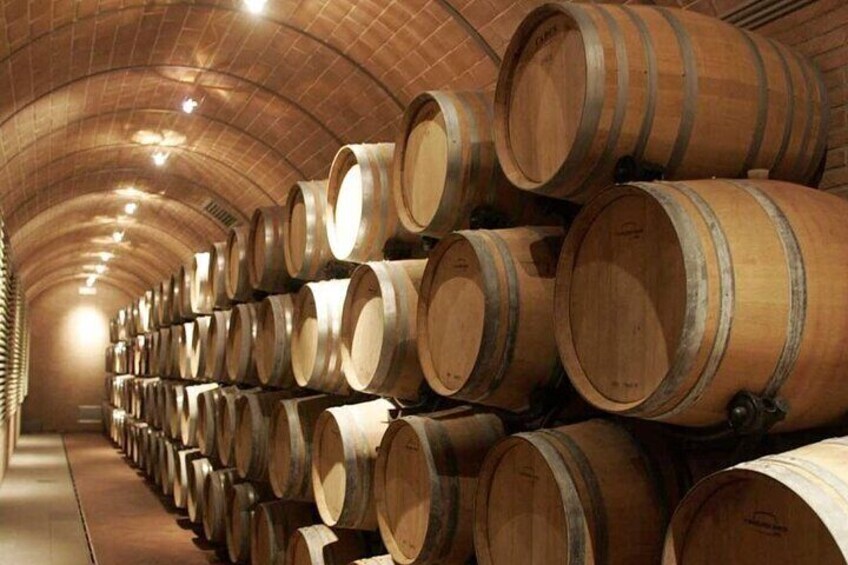Winery visit 5