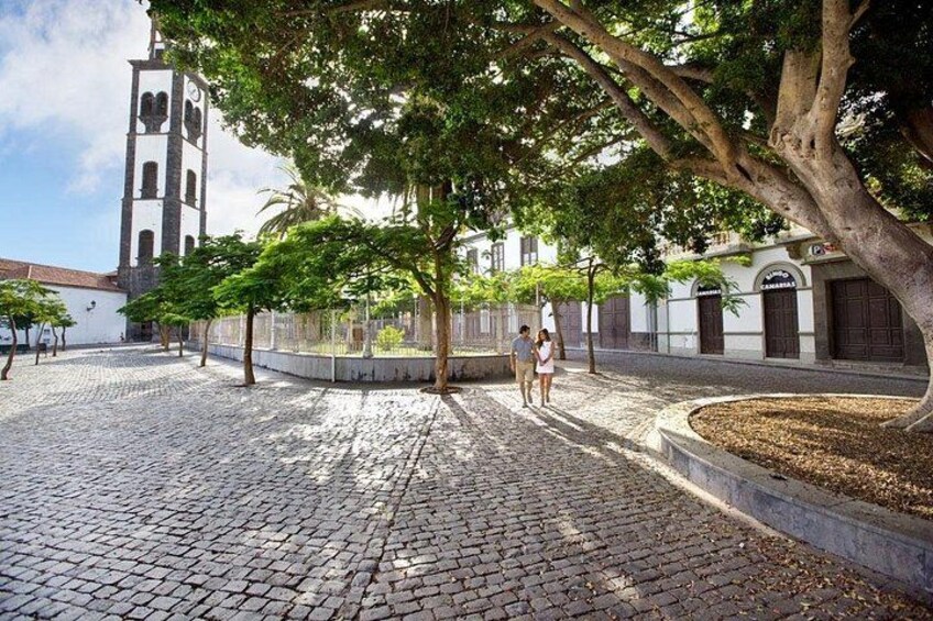 Tenerife: Santa Cruz, Anaga and La Laguna with guide included 2