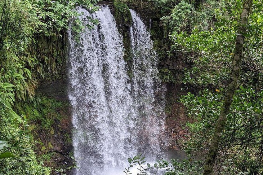 A waterfall surrounded by dense greenery. 2