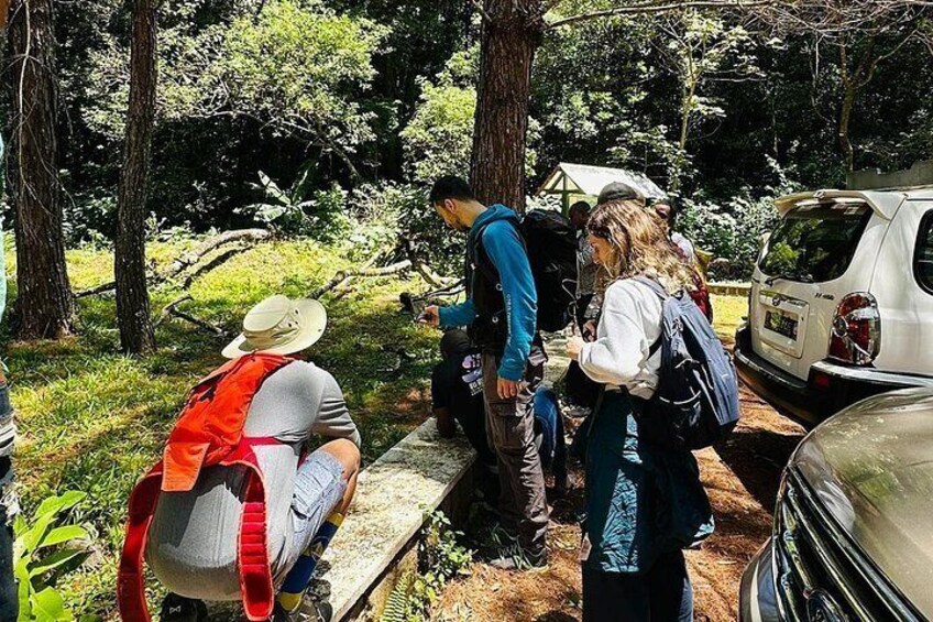 A group of people gathered around a vehicle in a wooded area with trees and a bench. 1