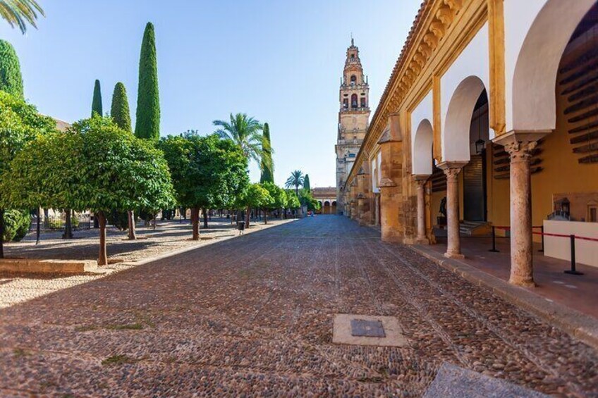 A cobblestone pathway lined with trees and arches, leading to a historic building with a bell tower. 2