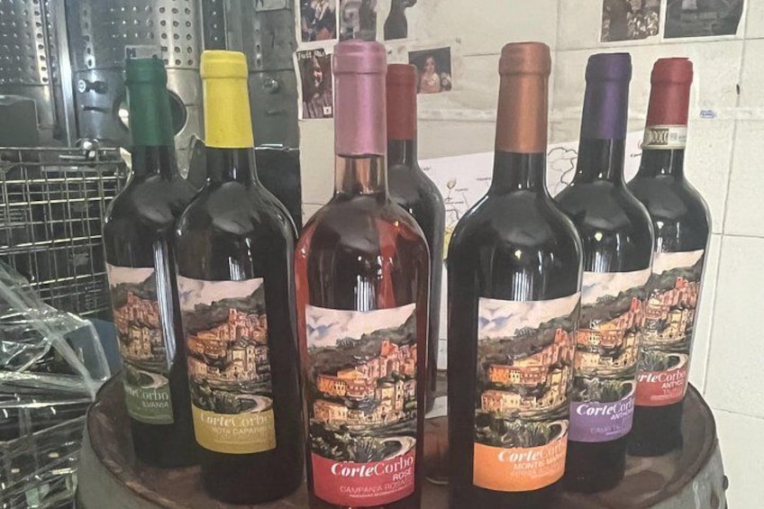 A selection of wine bottles with labels featuring a vineyard scene. 2