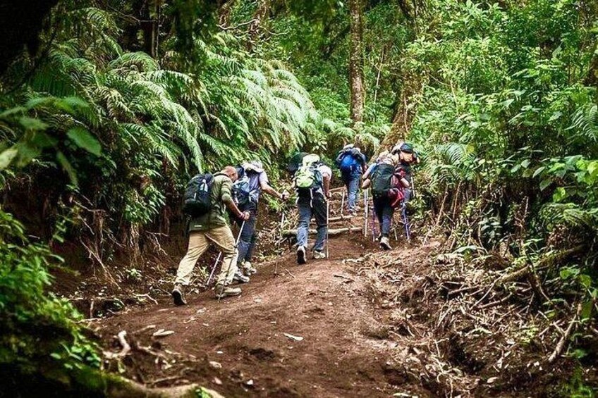 Acatenango Volcano Overnight Hike with Comfort Glamping 2