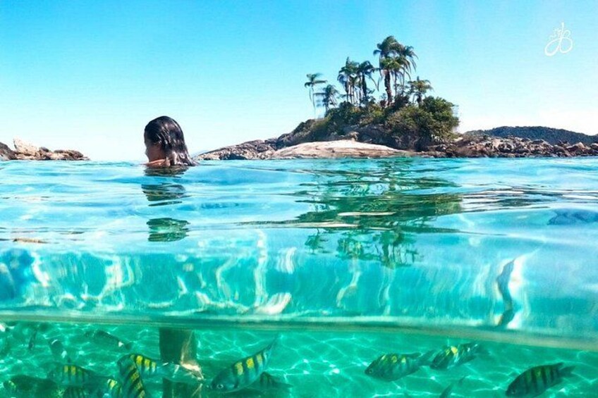 Une personne nage dans une eau d’un bleu cristallin, avec des arbres tropicaux et des rochers en arrière-plan. 2
