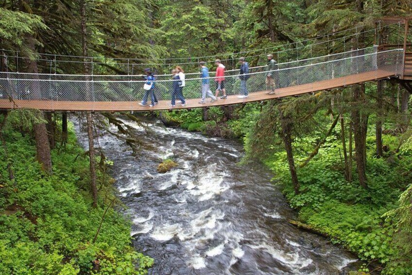 A suspension bridge over a flowing river surrounded by dense forest. 2