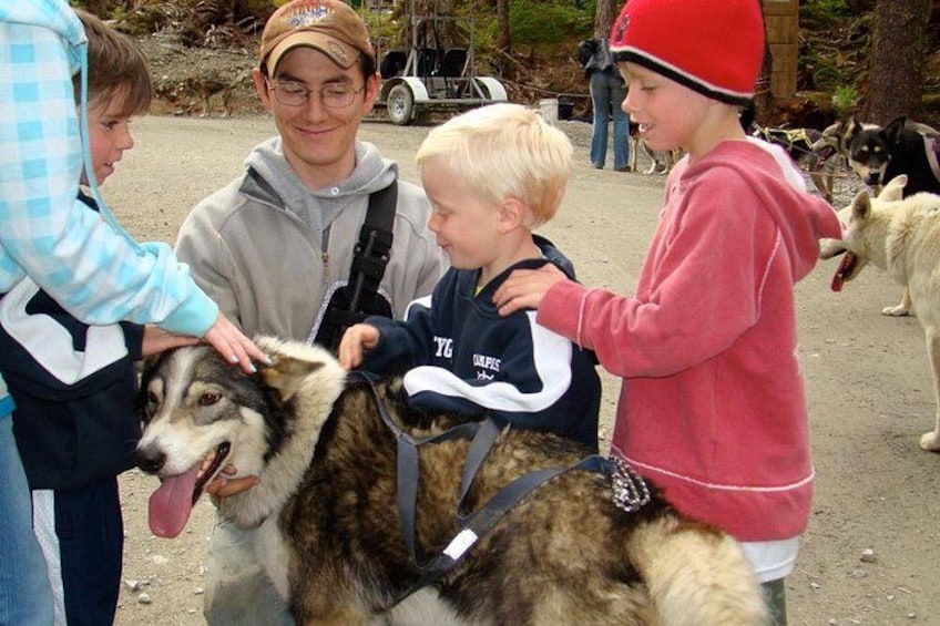 Musher's Camp® & Sled Dog Discovery in Juneau Alaska 5