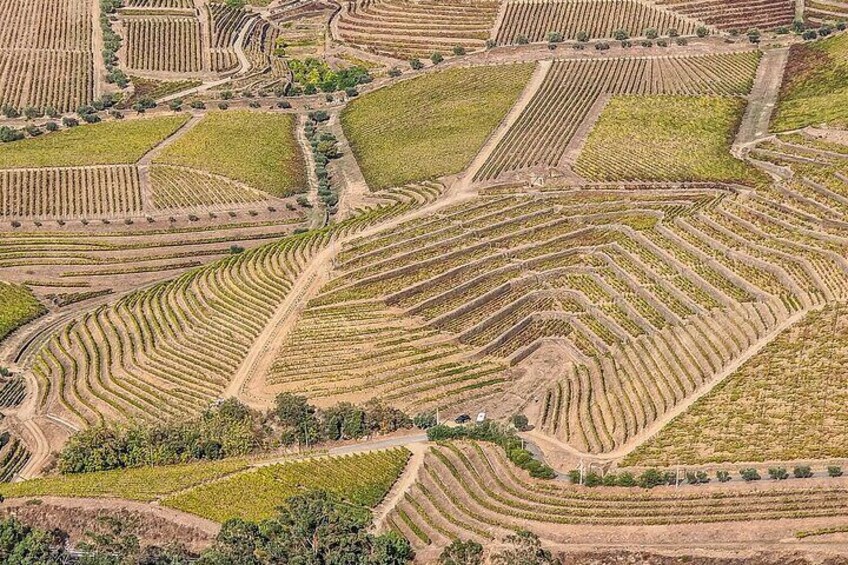 Lisbon to Porto Ride with Douro Valley Wine Experience 5