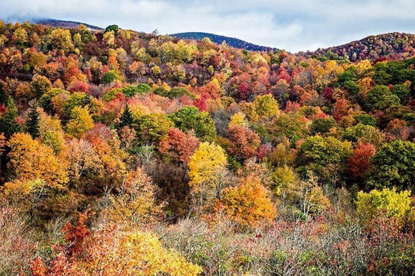 Blue Ridge Parkway South Self Guided Audio Tour 3