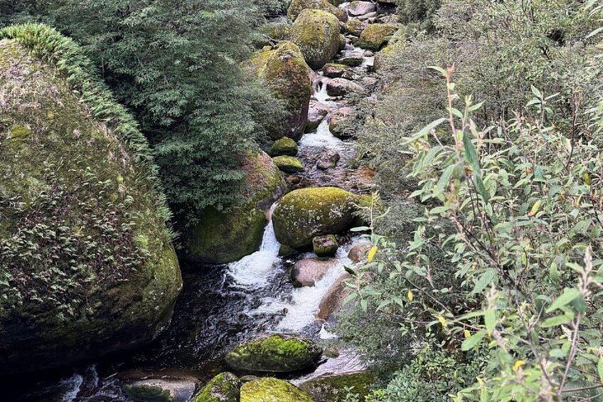 Serene Gippsland streams along the scenic route to Mt Baw Baw. 3