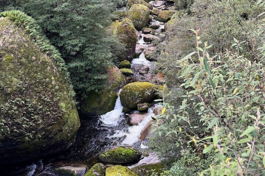 A stream flowing through a rocky landscape with moss-covered boulders and dense greenery. 3
