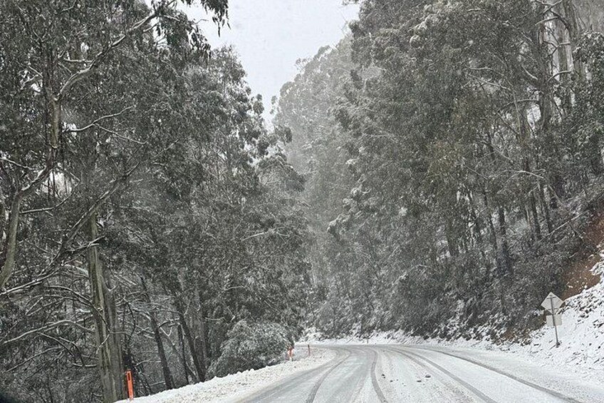 Winding snow lined roads leading to alpine adventure. 2