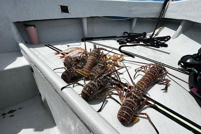 A boat's deck with lobster traps and fishing equipment. 4