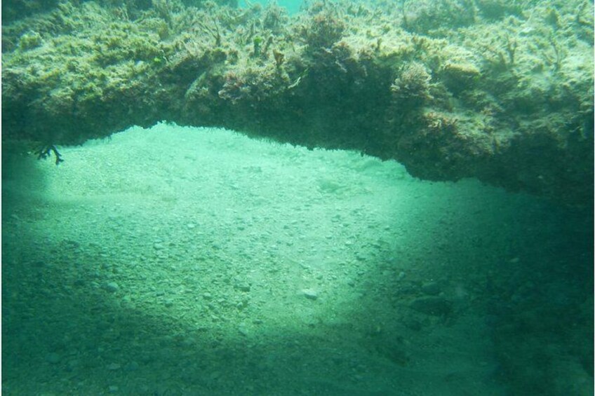An underwater scene with a sandy bottom and patches of seaweed. 2