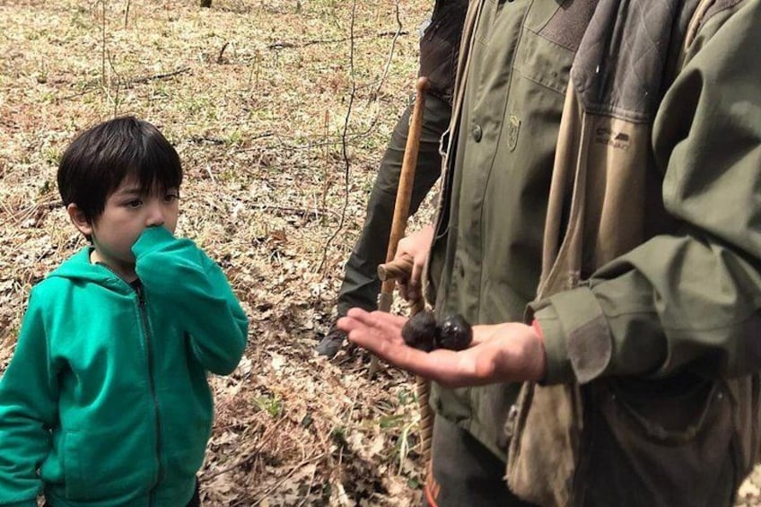A person holding a small object in a forested area. 2